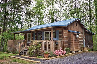 fly away 1 bedroom pet friendly cabin in Pigeon Forge