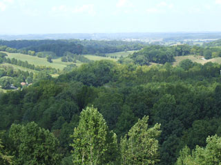view
