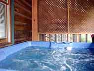 pet friendly cabin