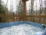 pet friendly cabin