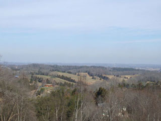 view4