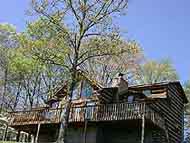 pet friendly cabin pigeon forge