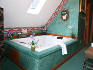 pet friendly cabin